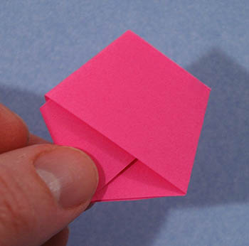 a pentagonal shaped knot in a strip of paper